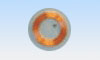 Clear Disc
